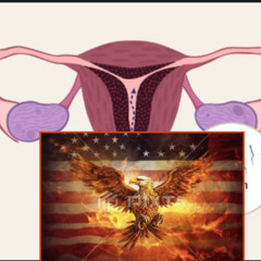 fucking july 4th speshil bitch