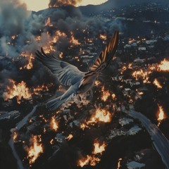 Mocking Bird w/ Paris Petitjean