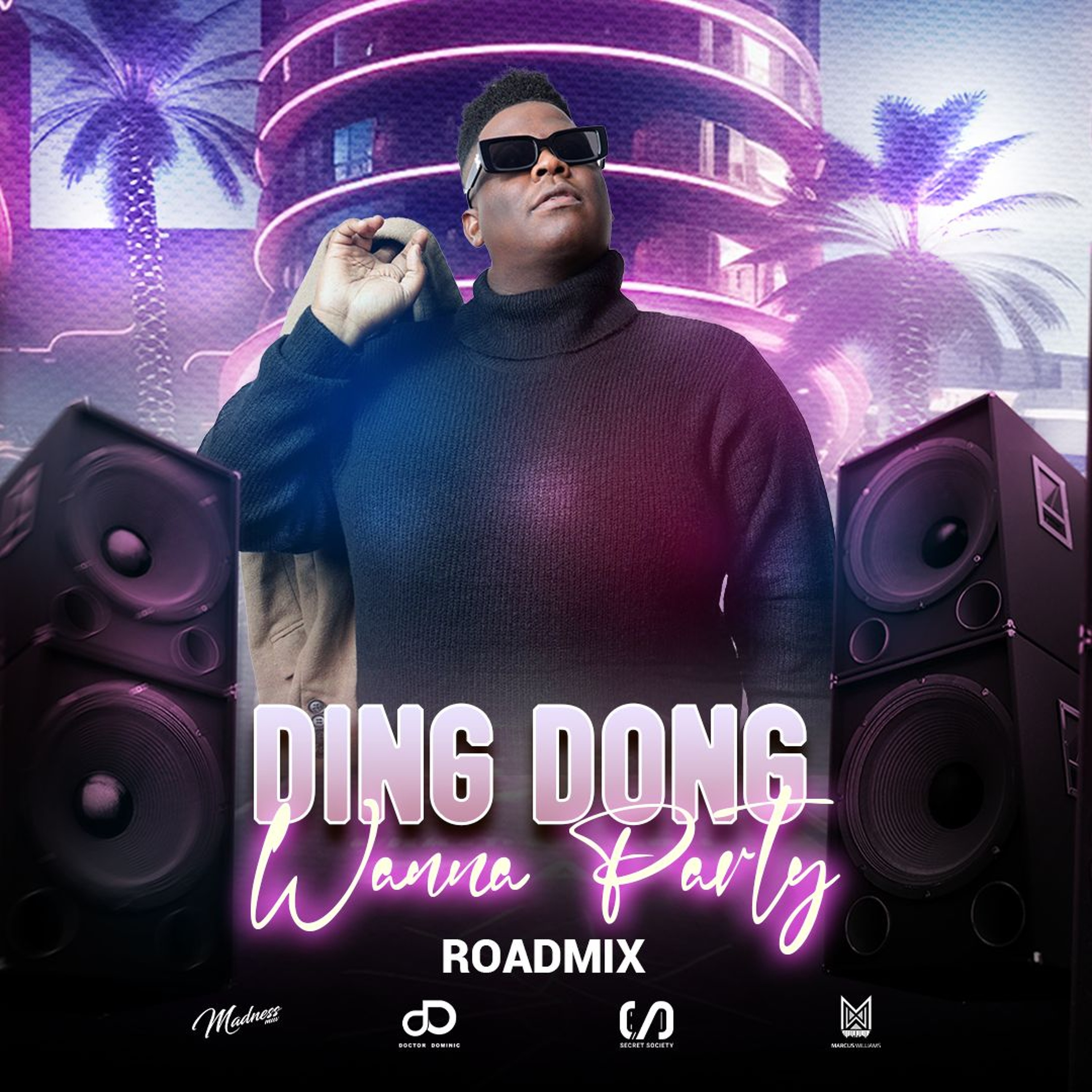 Ding Dong - Wanna Party (Secret Society Roadmix)