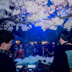 Live @ Cloud Forest [Mystic Nature - Chicago]