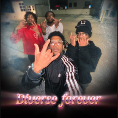 DIVERSE FOREVER