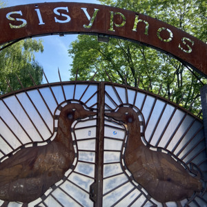 Friday 24 May 2024 Until Monday