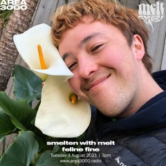 smelten with melt: feline fine - 3 August 2021