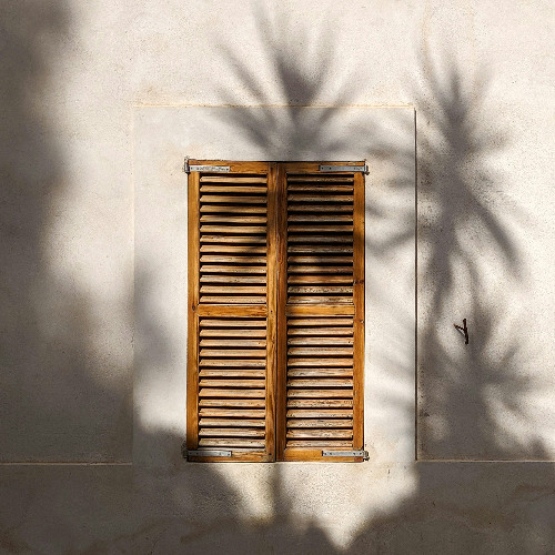 トロピカルボーイ