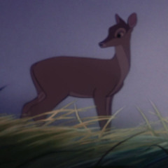(1978 The Deer Hunter vs. Bambi's Mom)🏹⭒˚｡⋆🦌