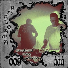 009 • StructuredNoiseCollective • live at amalgama 1.3.24