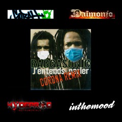Raggasonic Remix - J'entends Parler D'corona