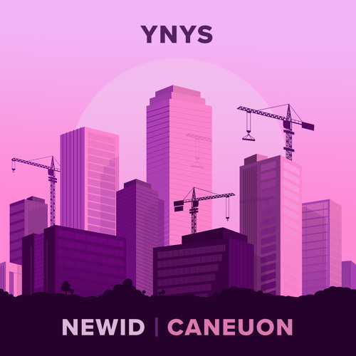 Newid / Caneuon