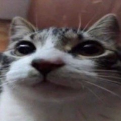 AERIALS - AI BLUES VERSION