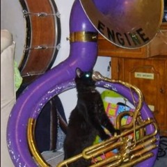 [Orchestra: The Bass Fate] Boss battle // Tuba Cat (Funk Engine)