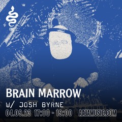 Brain Marrow w/ Josh Byrne - Aaja Channel 2 - 04 09 23