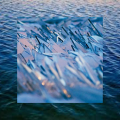searching for beauty in broken glass