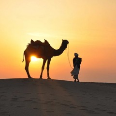 Negev Bedouin