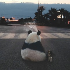 Panda's POV