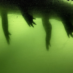 GATORROLL!! - 2fraid (Prod. Sabelle)