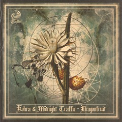 Kohra & Midnight Traffic - Mycelium (Vanta Remix) [Charybdis Records]