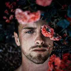 Blossoming Springtime 2A