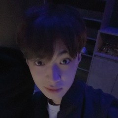 Bức Bình Phong Lofi