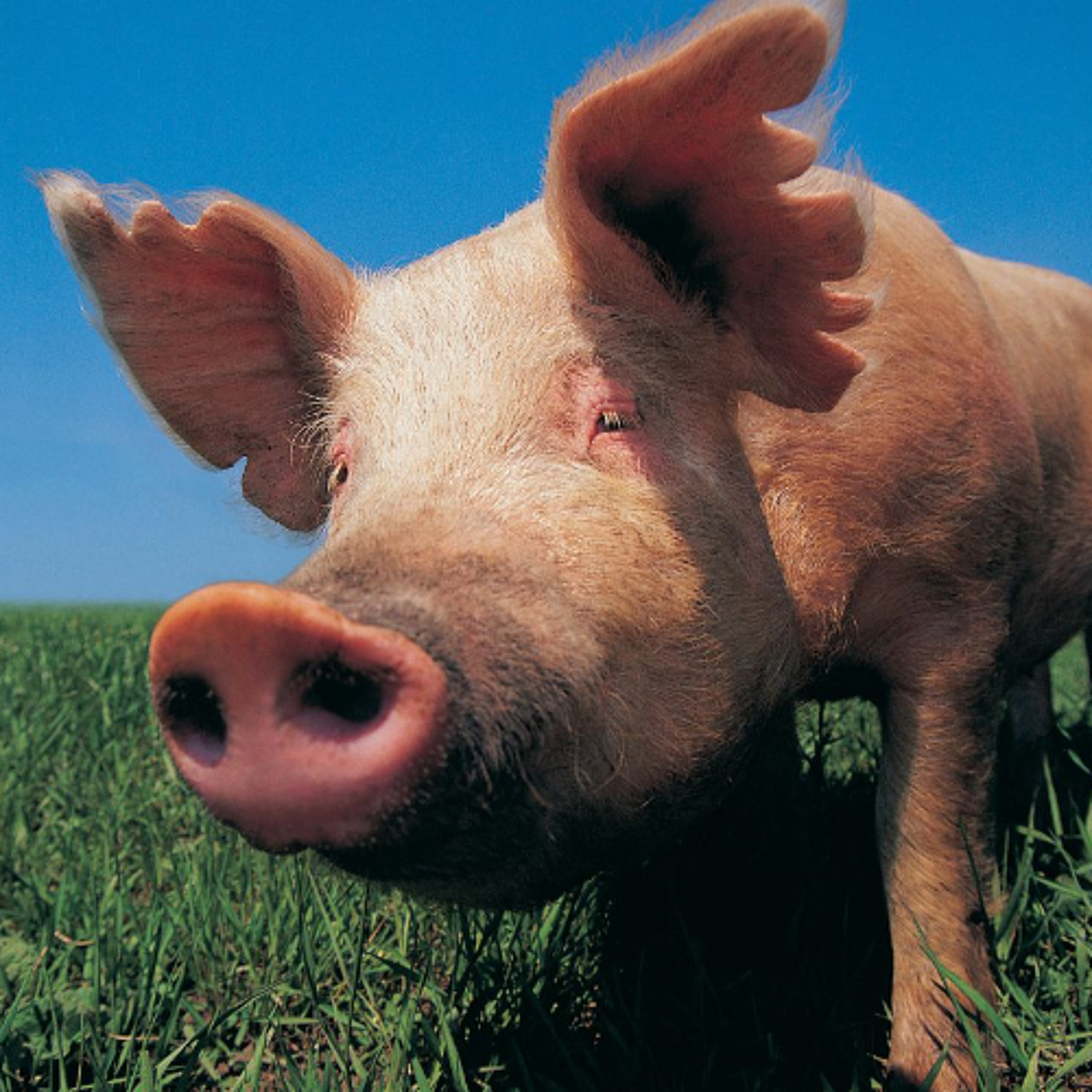 Best of Awake in the World: Radical Open-ness