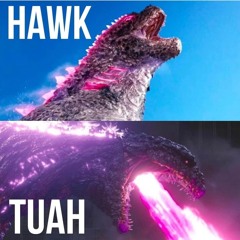 Hawk Tuah