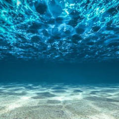 Yaksi - Underwater