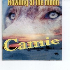 Howling At The Moon