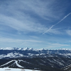 Springs