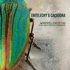 Entelechy + Caçadora - Wheel.FM EP100 [Fairy Creek Lakeside Fundraiser]