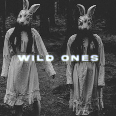 Flo Rida & Sia - Wild Ones (Ramba Zamba Hypertechno Remix)