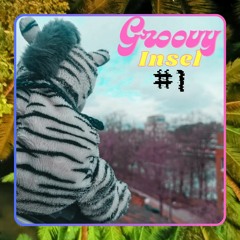 Groovy Insel #1 - Welcome to Psytechno