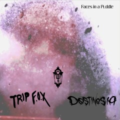 Trip Fox & Destinesia - Faces In A Puddle (Free Download)
