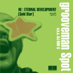 grooveman Spot / The Stolen Moments 8 MIX CD CDr, Limited
