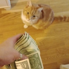 Broke boy
