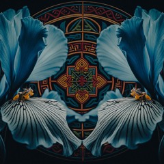 Iyakuh & Lo.Renzo - Interwoven EP (Shivelight Journey Mix)