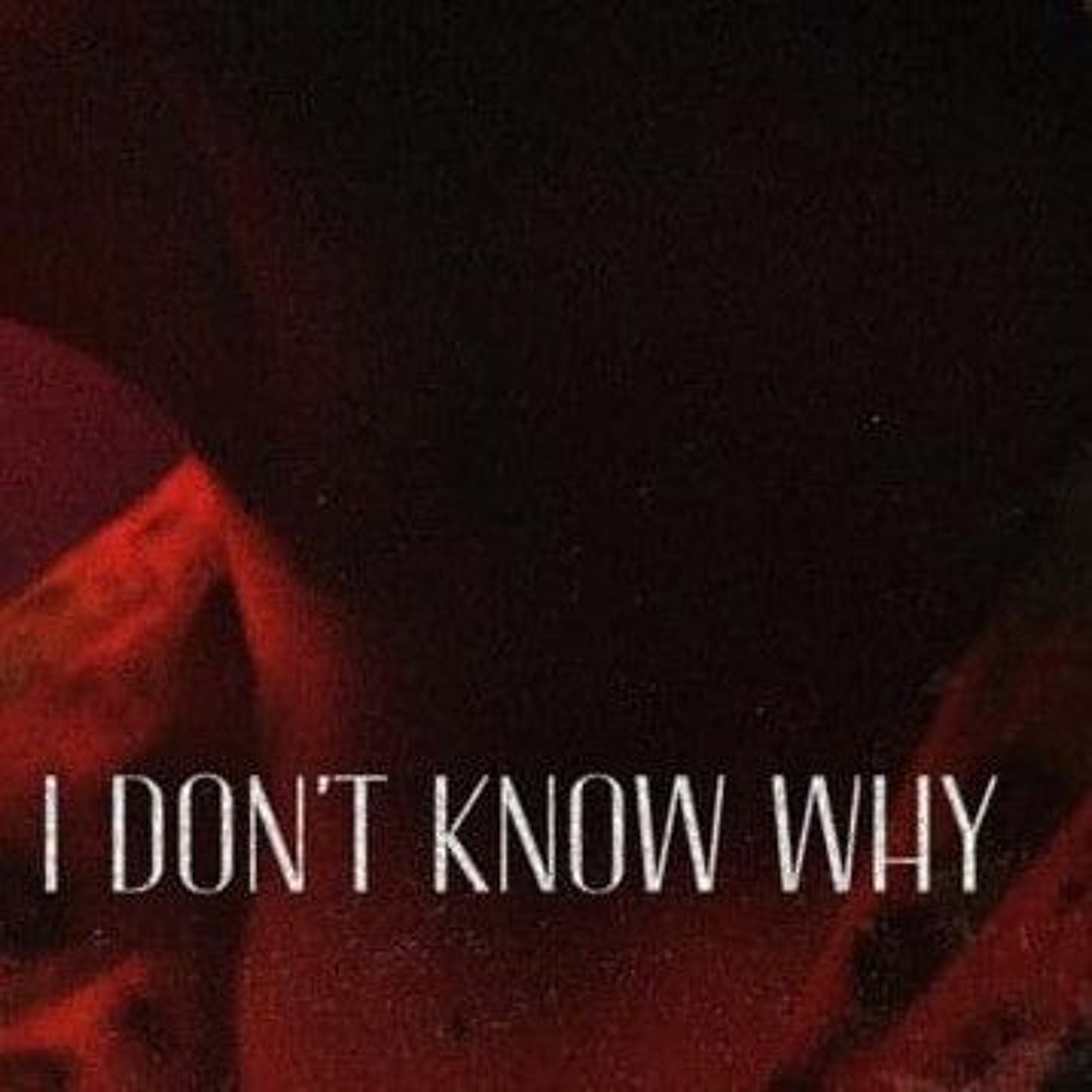 Dont Know Why episode artwork