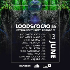 MAJIST - A - Psytrance Turkey Episode 002 - Loops Radio