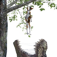 last mix i make until i blow up