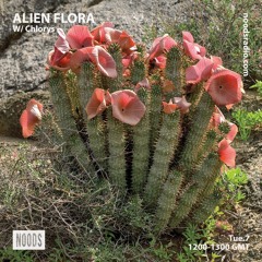Alien Flora w/ Chlorys ─ Noods Radio (07.09.2021)
