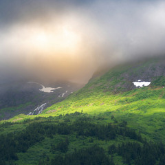 Settling Mist