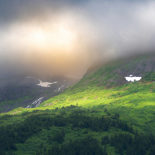 Settling Mist