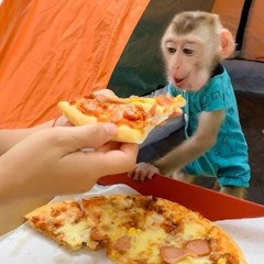 PIZZA QUESO MASA (IA)