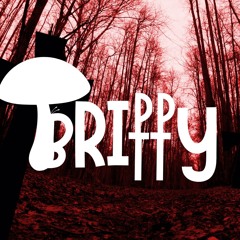 02 Stankin' & Wildin' (Britty Blend)