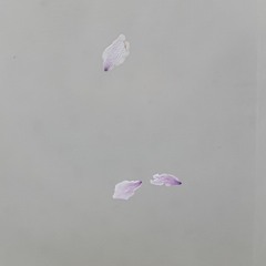 (: sangwoo playlist :)