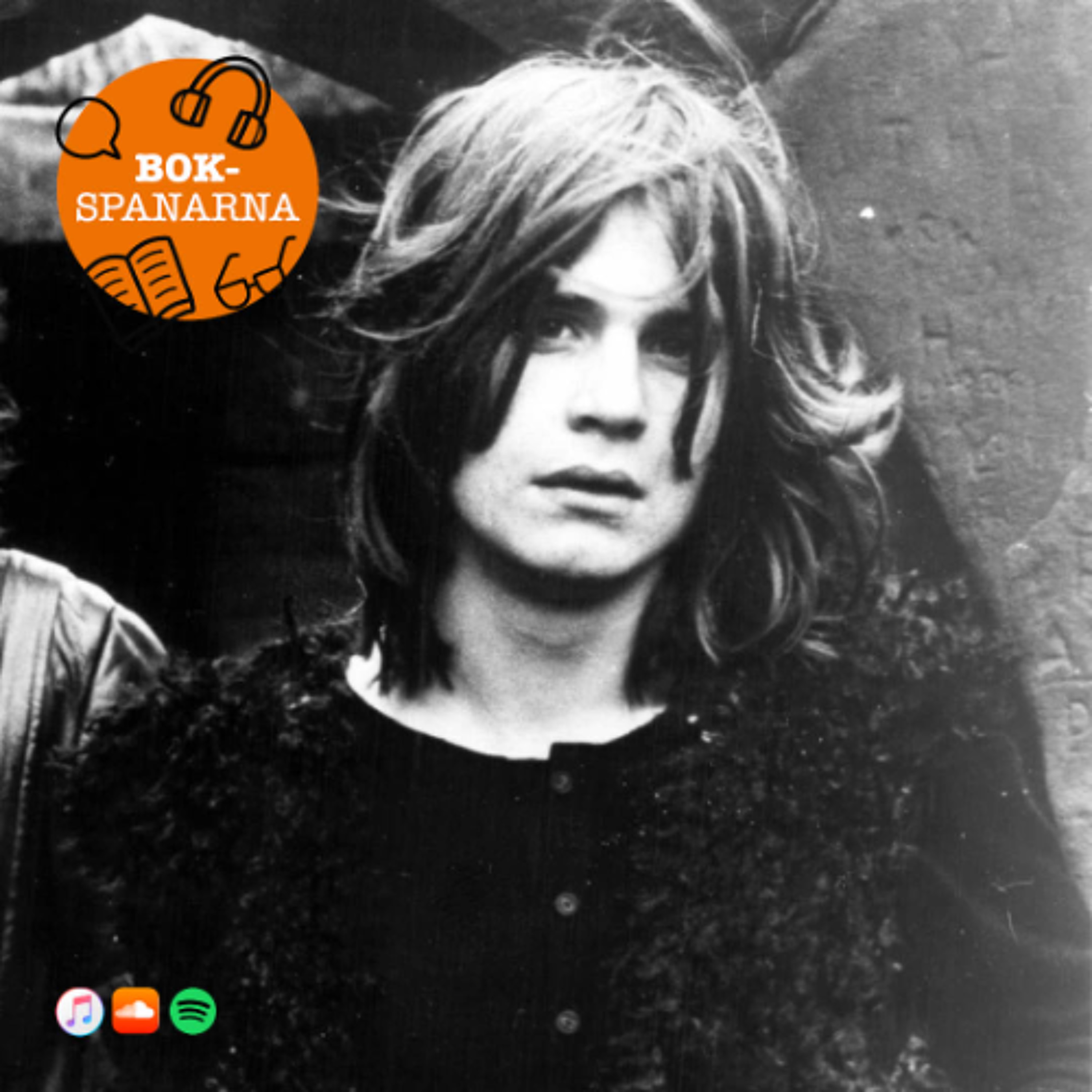243. Musikbiografier episode artwork