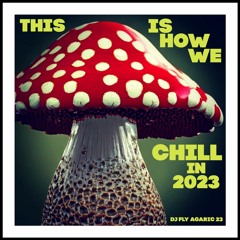 THIS IS HOW WE CHILL IN 2023