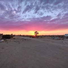 The Dangerous Princess