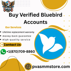 Buy Bluebird Verified Accounts in 2025 for Effortless Online Payments and Withdrawals