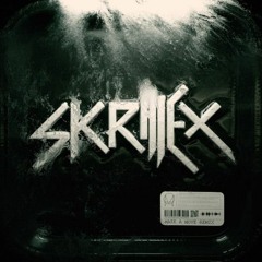 Torro Torro - Make A Move (Skrillex Remix) [DEMO V2]