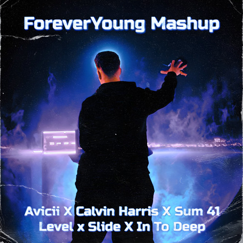Avicii X Calvin Harris X Sum 41 Levels X Slide X In To Deep