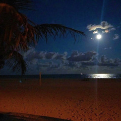 ياخي ماتشعر ؟